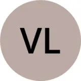 VloggerAliPK logo