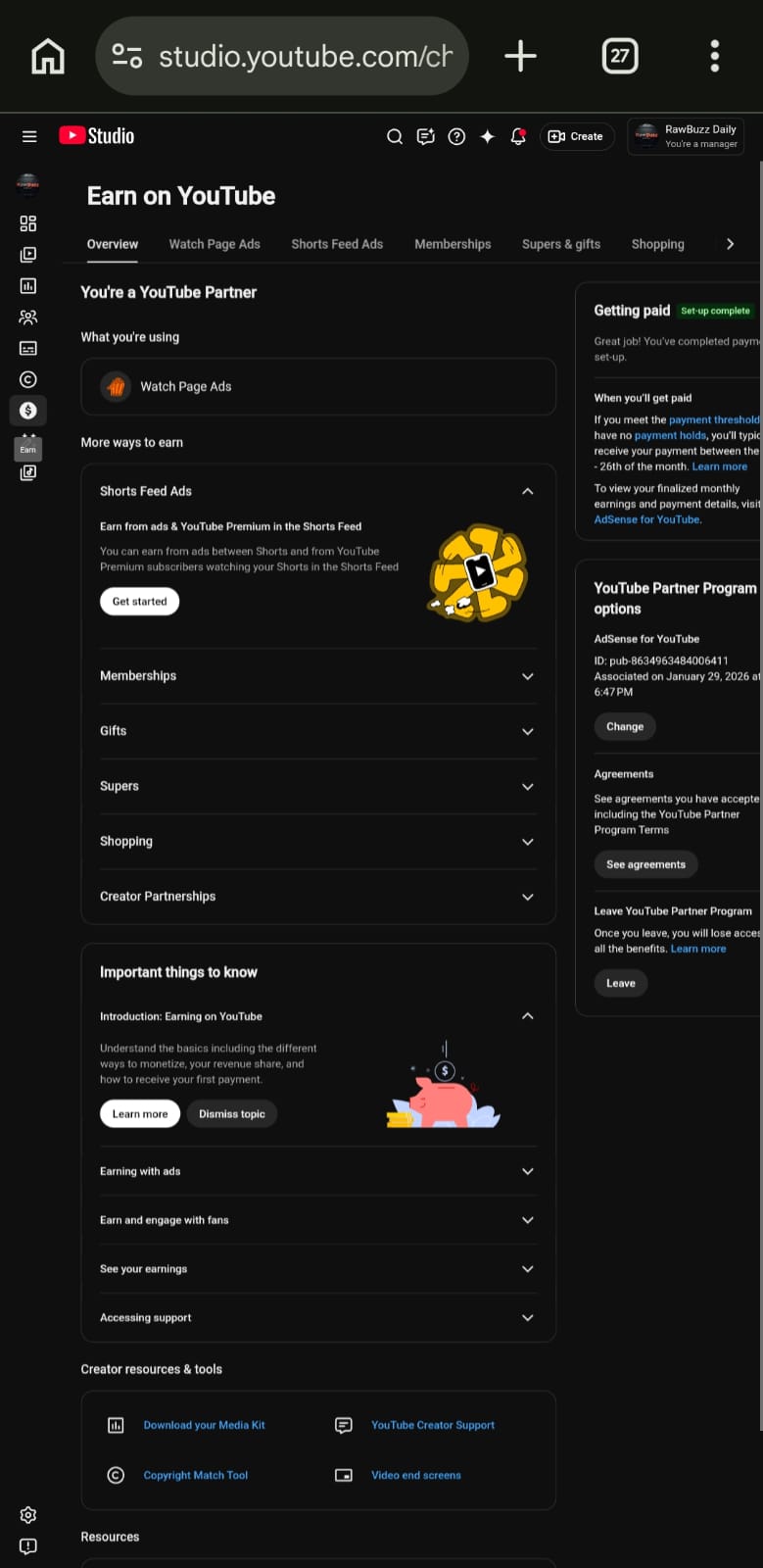 RawBuzz USA screenshot