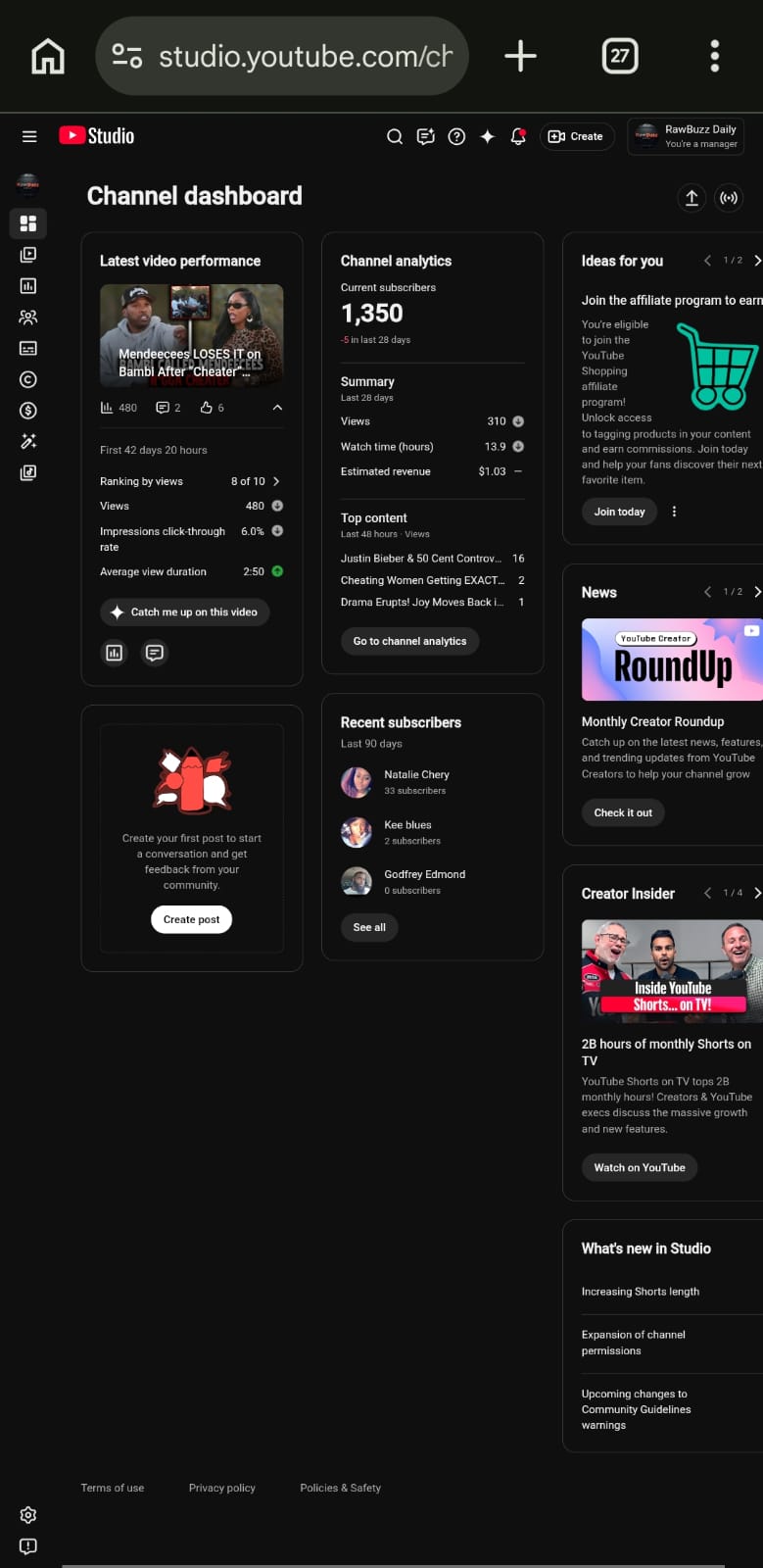 RawBuzz USA screenshot